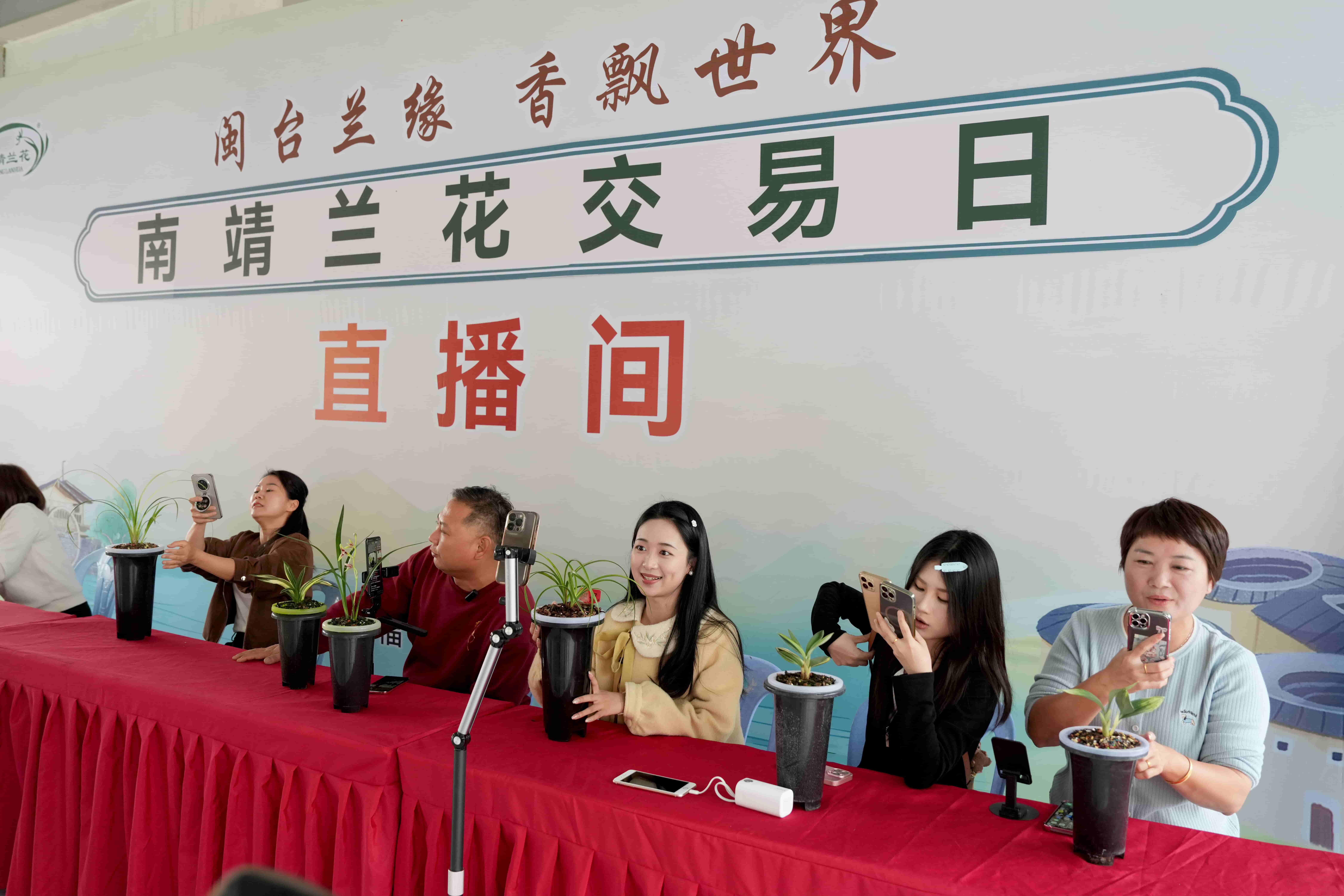 圖四：蘭花直播間.jpg