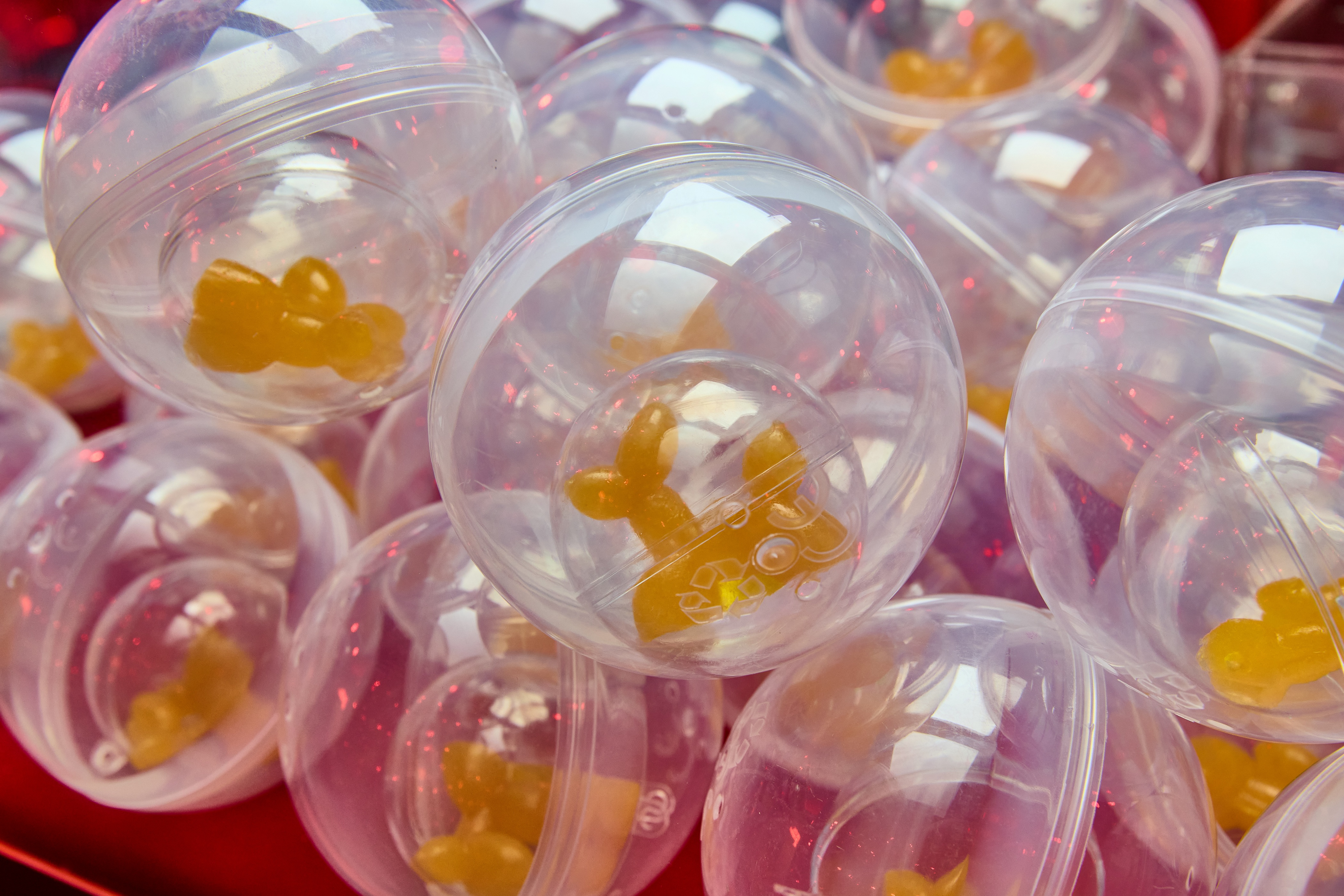 Jelly Dog (Image Credit to Central Yards Edible Art Fair).jpg