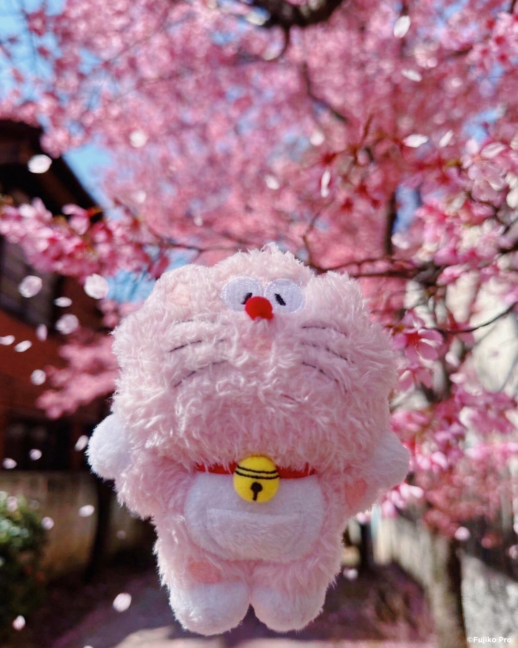Sakura Doraemon_2.jpg