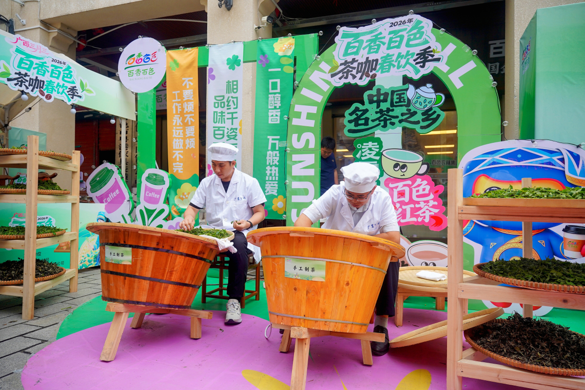 2.制茶大师們現場展示制茶技藝（百色農林集團供圖）.JPG