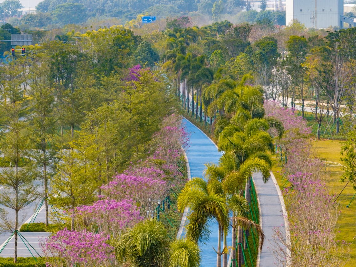 北岸生態堤景觀2.jpg