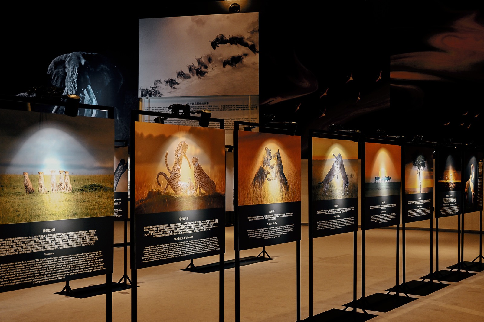 WhatsApp Image 2026-04-27 at 13.26.12.jpeg