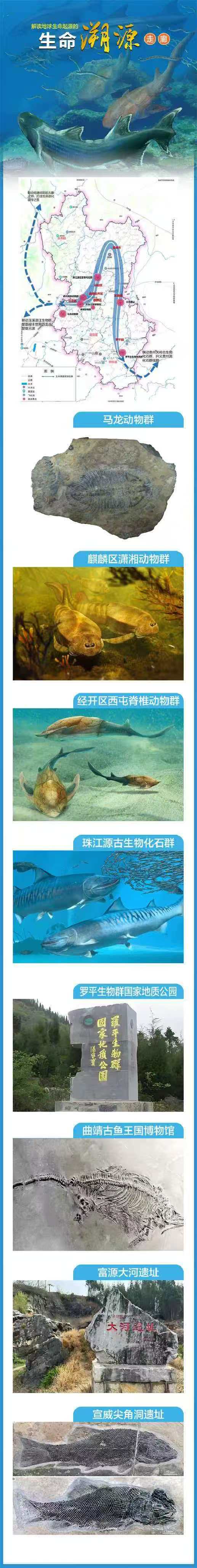 微信图片_20260502075648.jpg