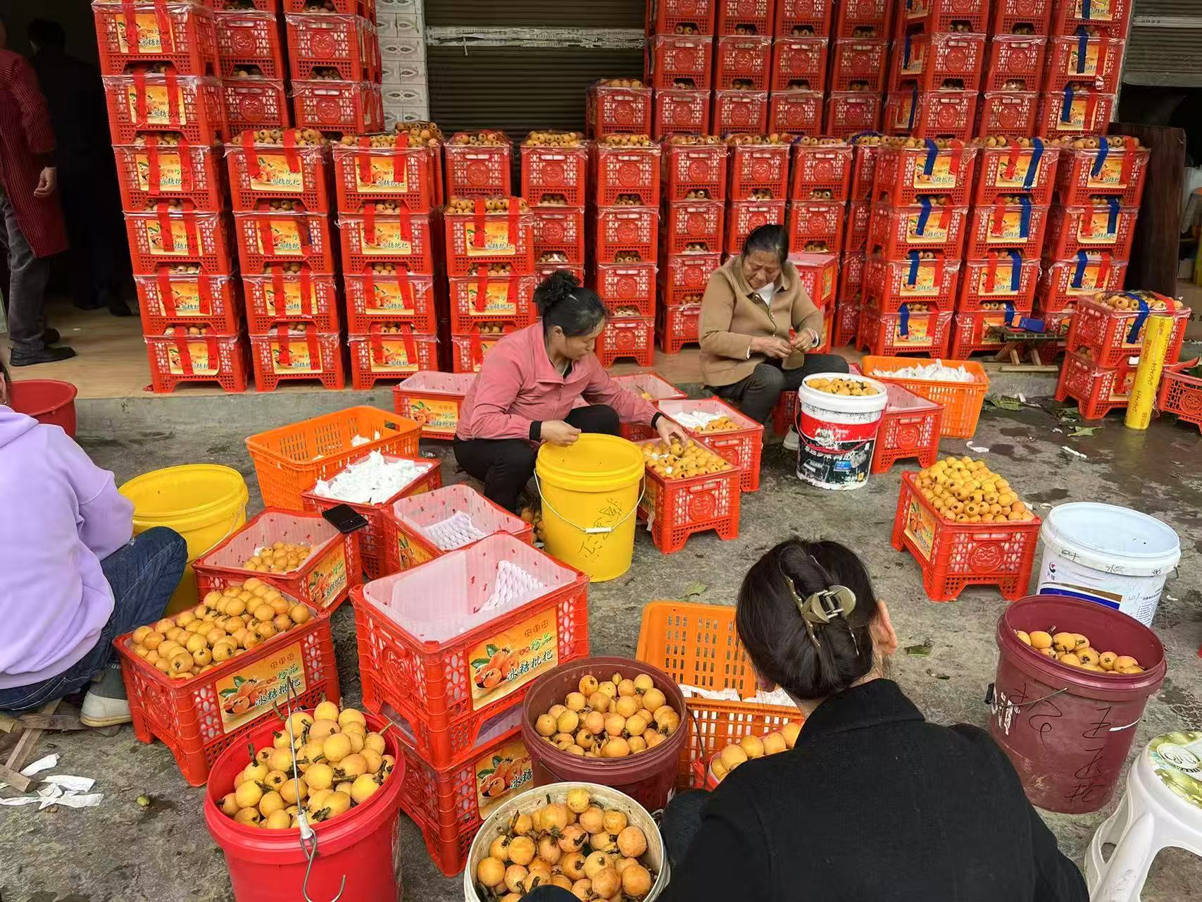 微信图片_20260505093153.jpg