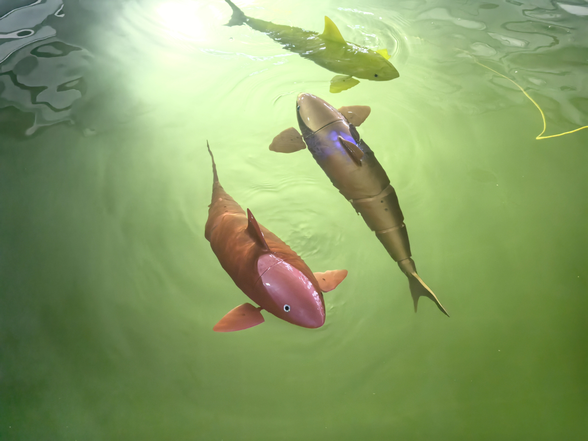 4、仿生魚.jpg