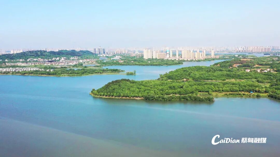 d9363c5214a4aa949dd06feee23476a9.jpg