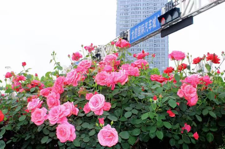 37aa2dde959415277bfb831a9bb182d6.jpg