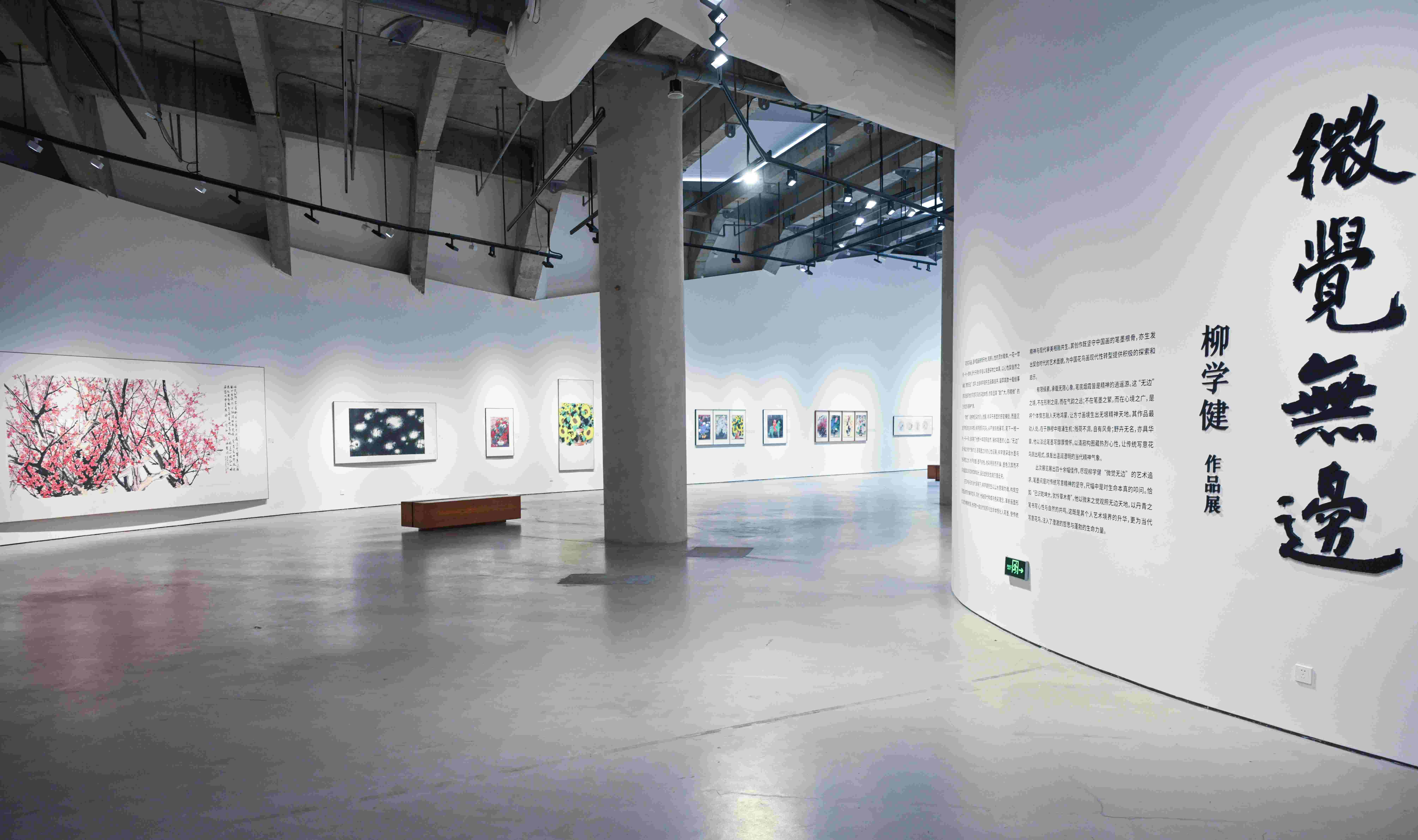 2-微覺無邊——柳學健作品展.JPG