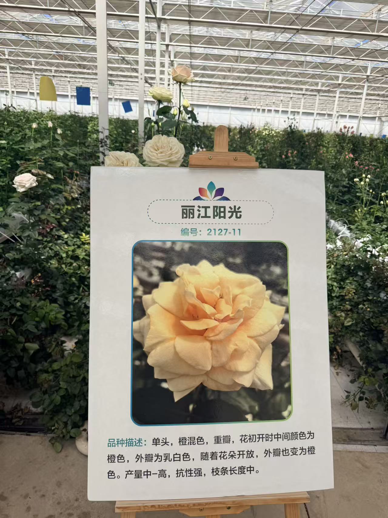 微信图片_20260522201958.jpg