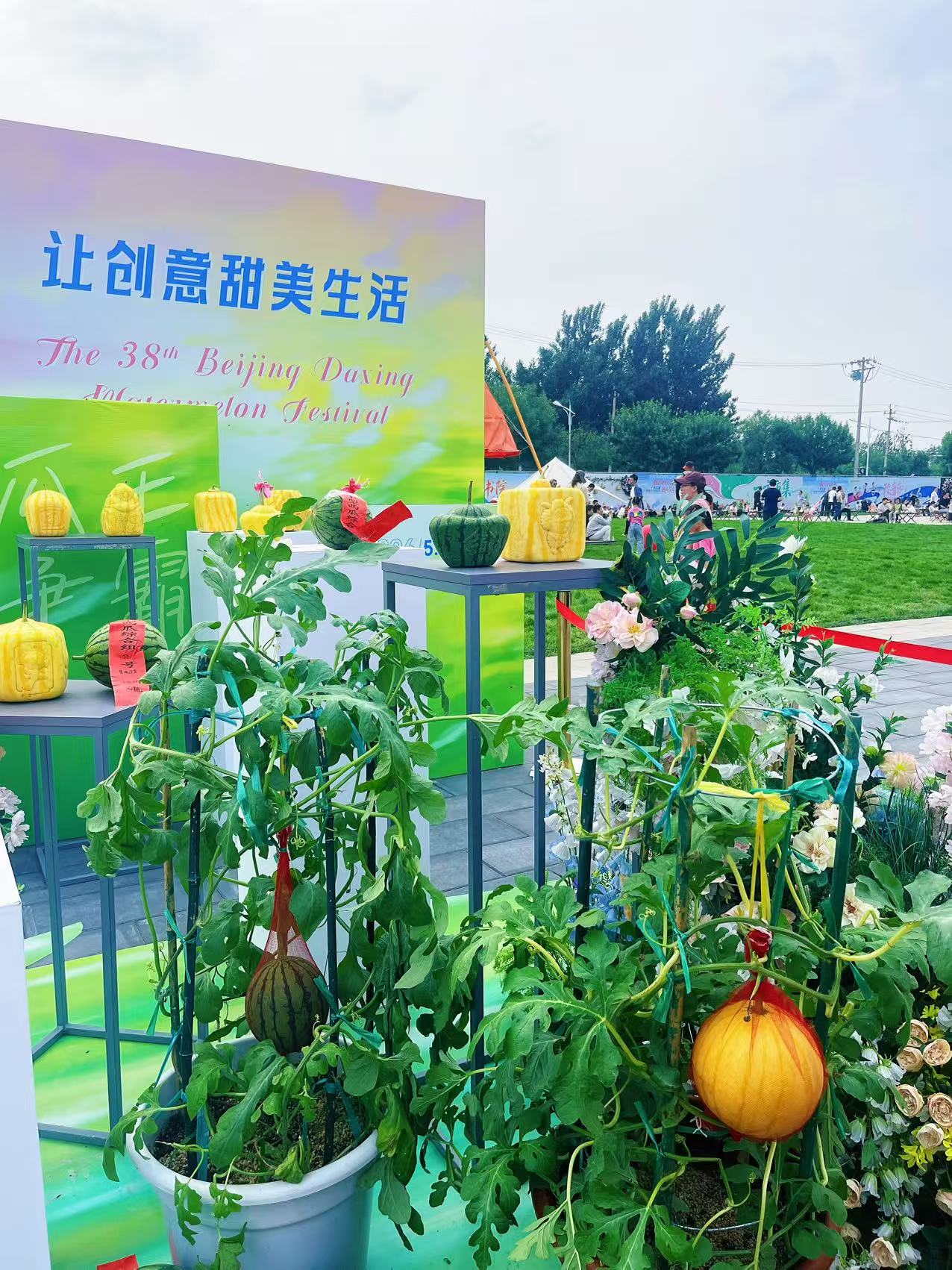 西瓜節3.jpg