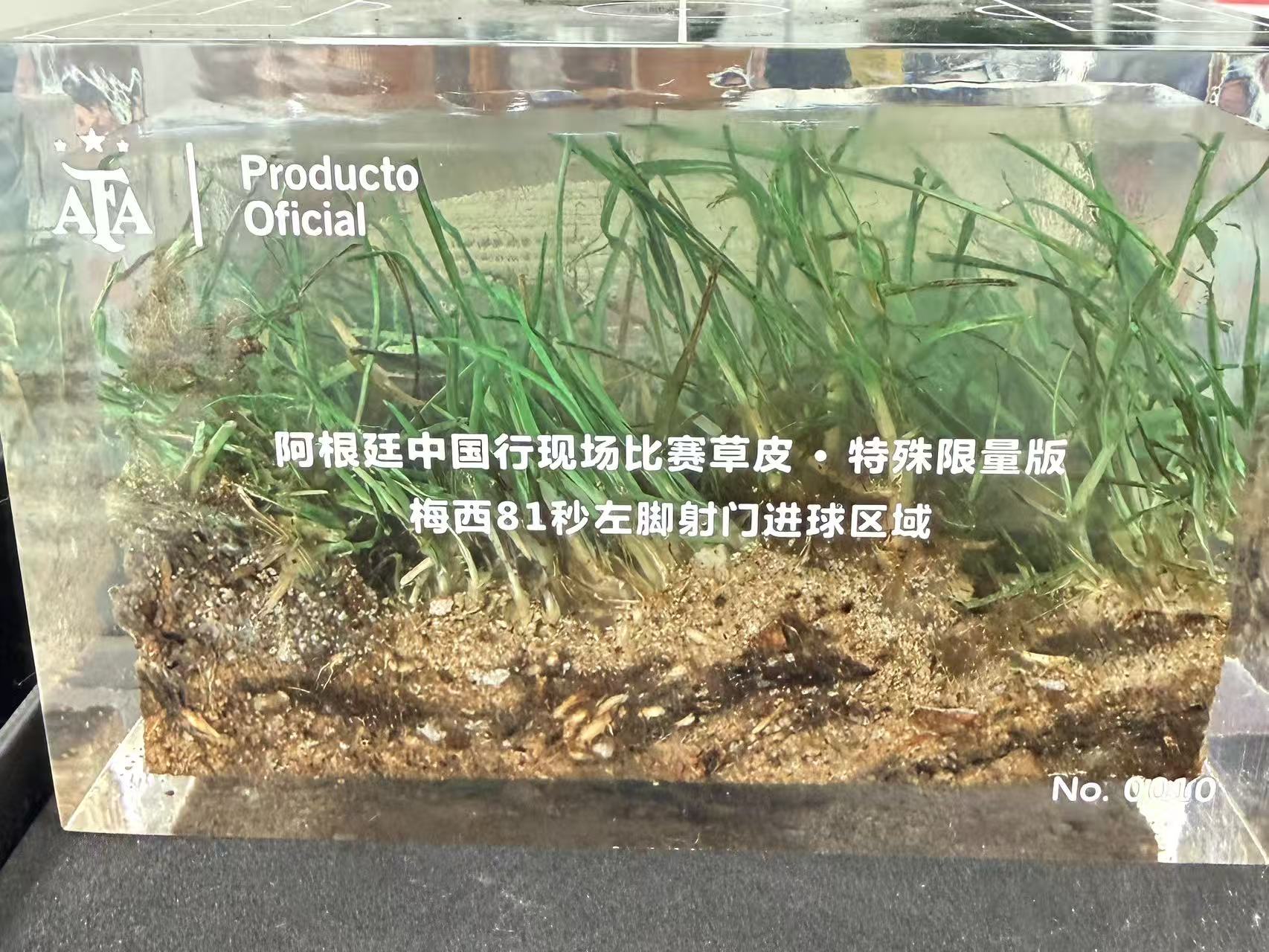 圖片2：2023年阿根廷中國行現場比賽，梅西開場81秒破門的專屬區域限量原生草皮成為全場焦點.jpg
