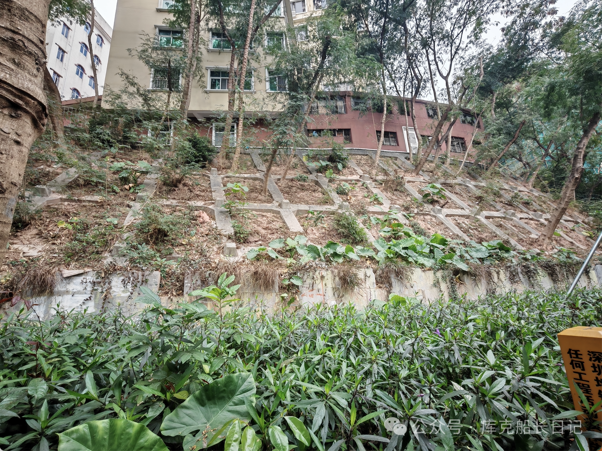 微信图片_2026-06-02_183725_569.png