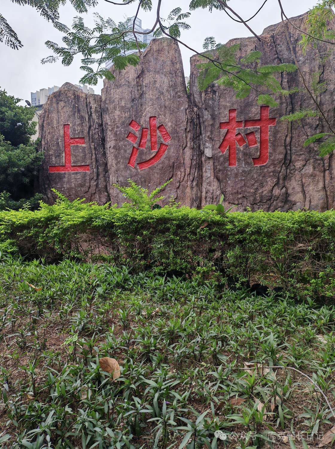 微信图片_2026-06-02_183730_841.png