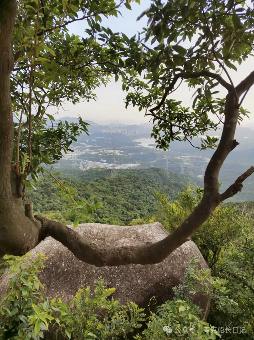 图像_2026-06-03_132752525.png