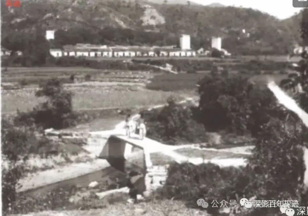 图像_2026-06-03_132813599.png