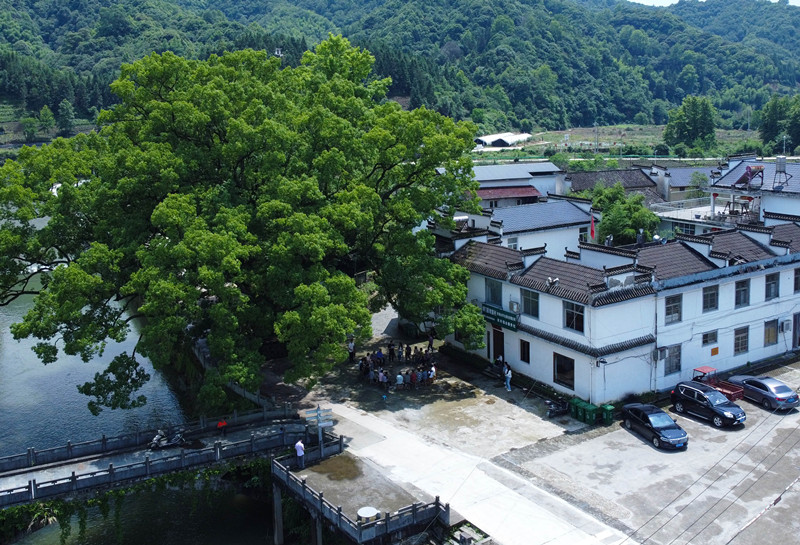 微信圖片_20260605093912_320_11_副本.jpg