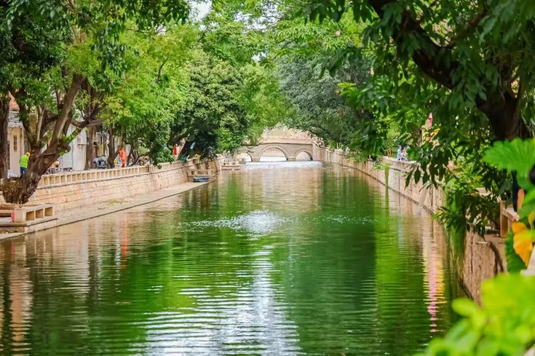 微信图片_2026-06-05_150520_539.jpg