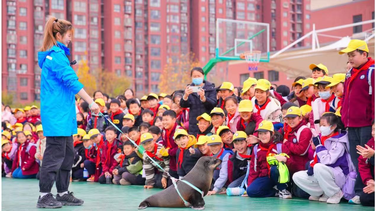 图五.jpg