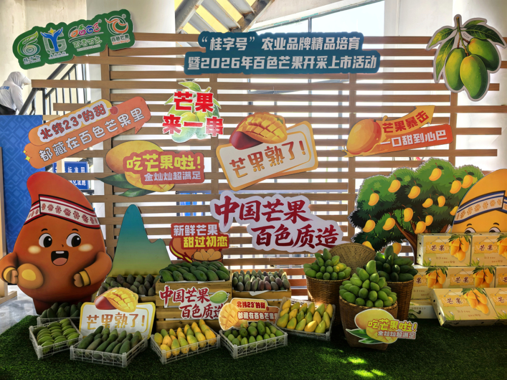 4、百色芒果展示區.jpg