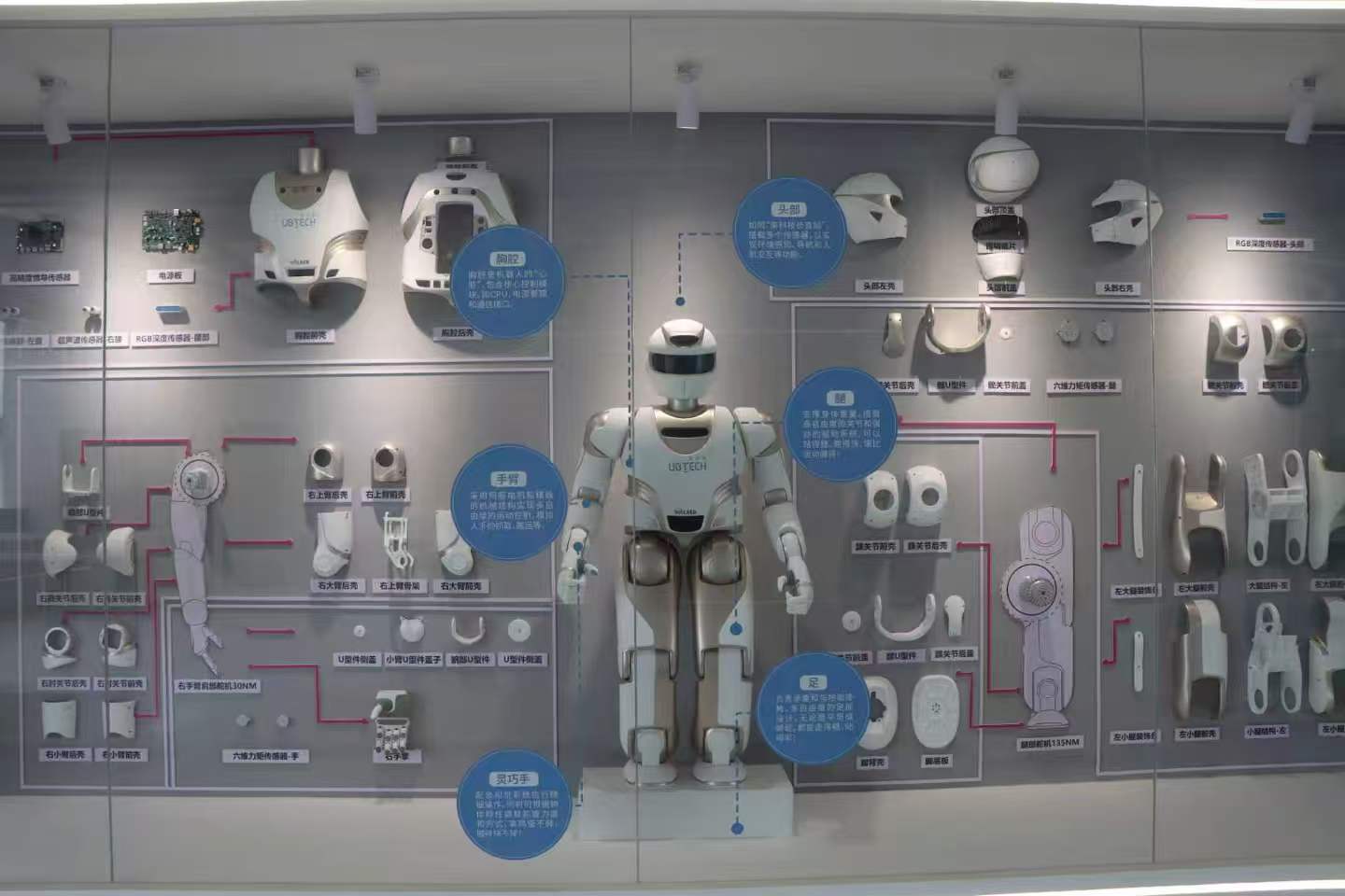 AI機器人體驗館.jpg
