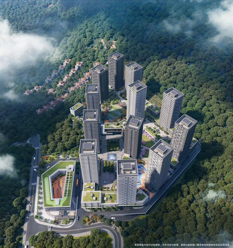 图片 8.jpg