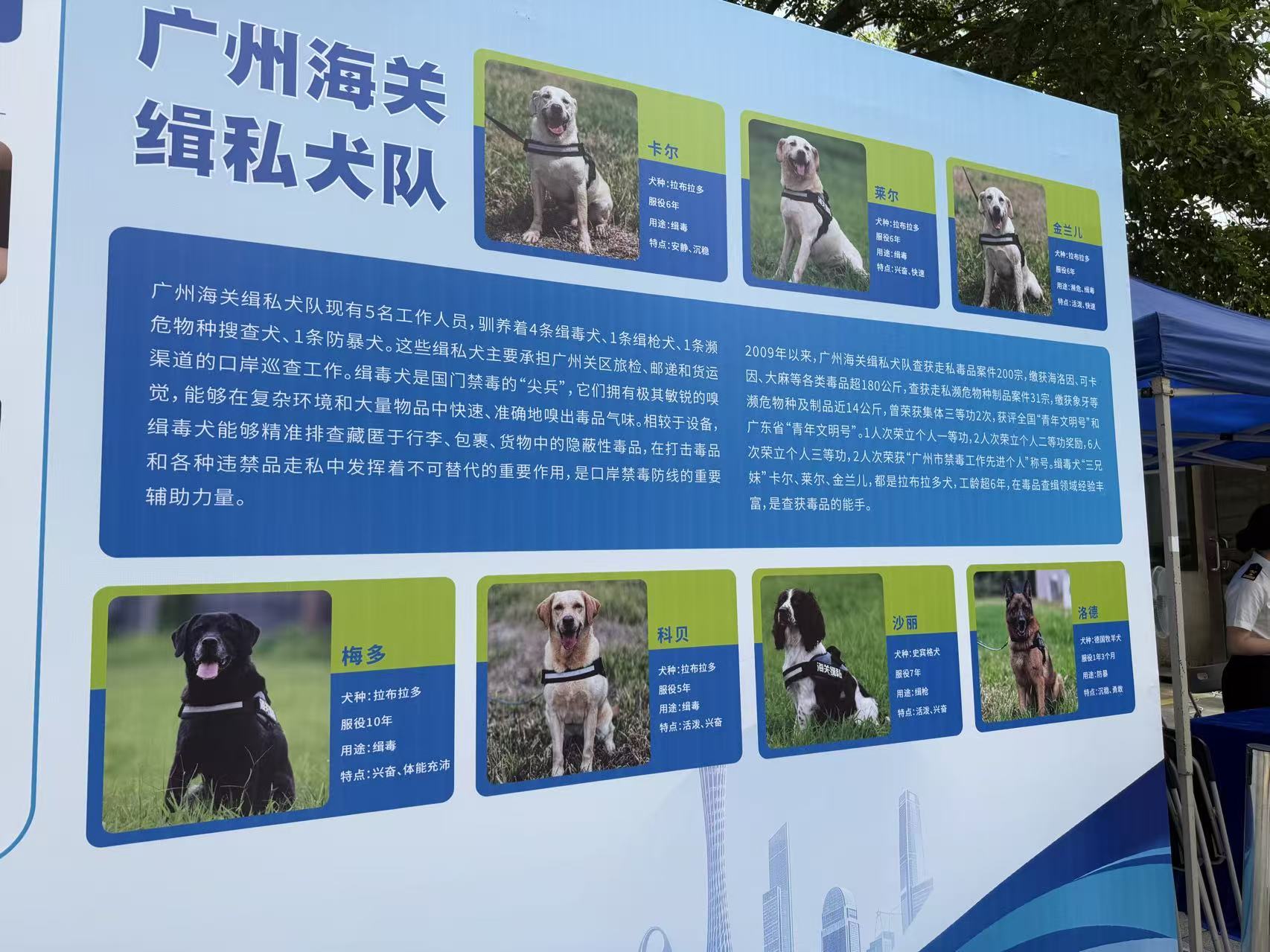 624a3129e8466d5f82fc9ebaacde23b3.jpg