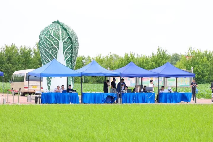 图片6.jpg