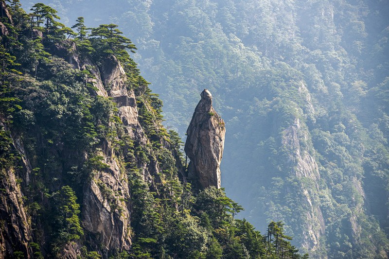 16黃.jpg