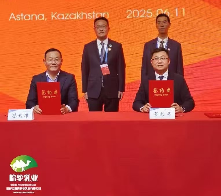 哈11.jpg