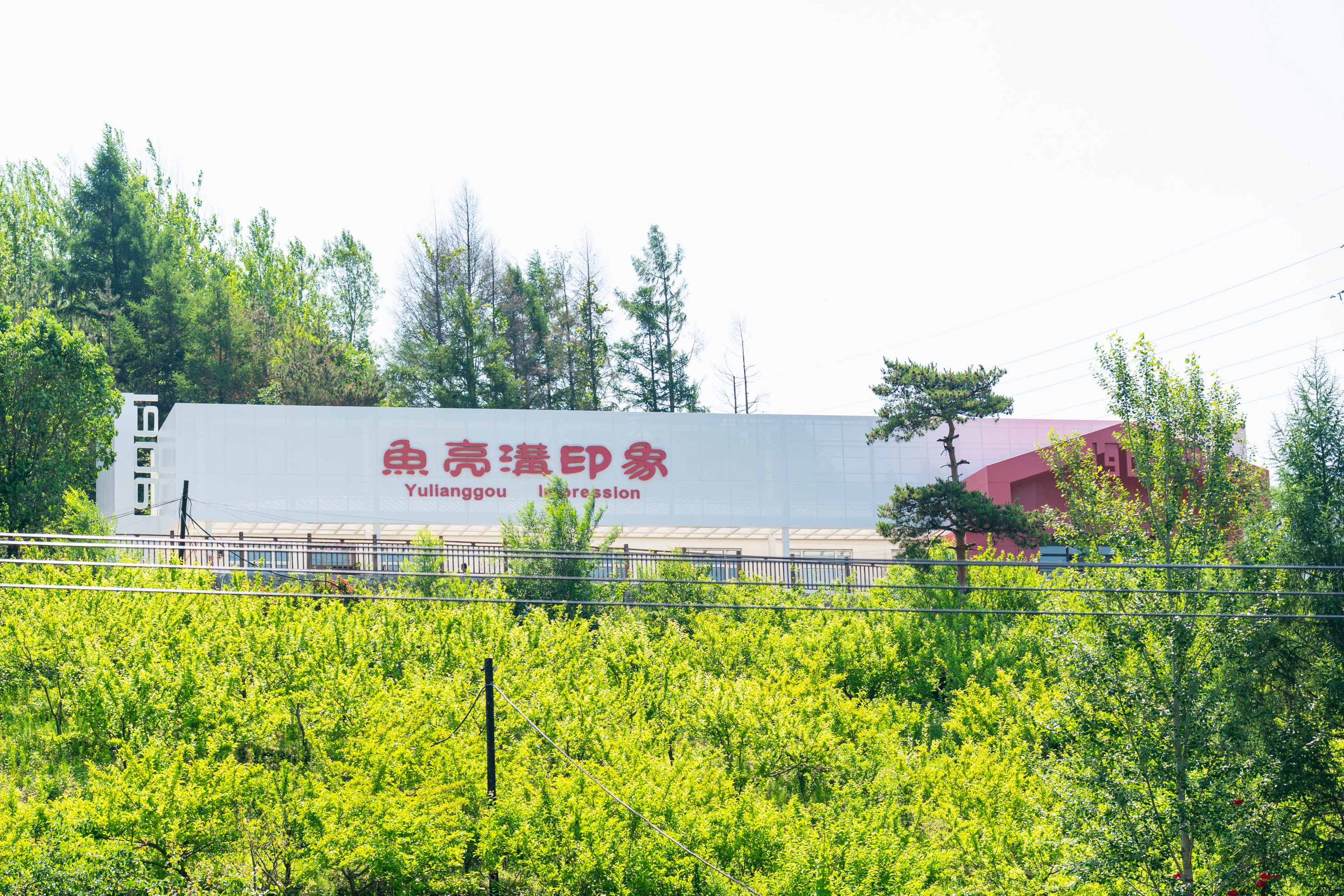 图片2.jpg