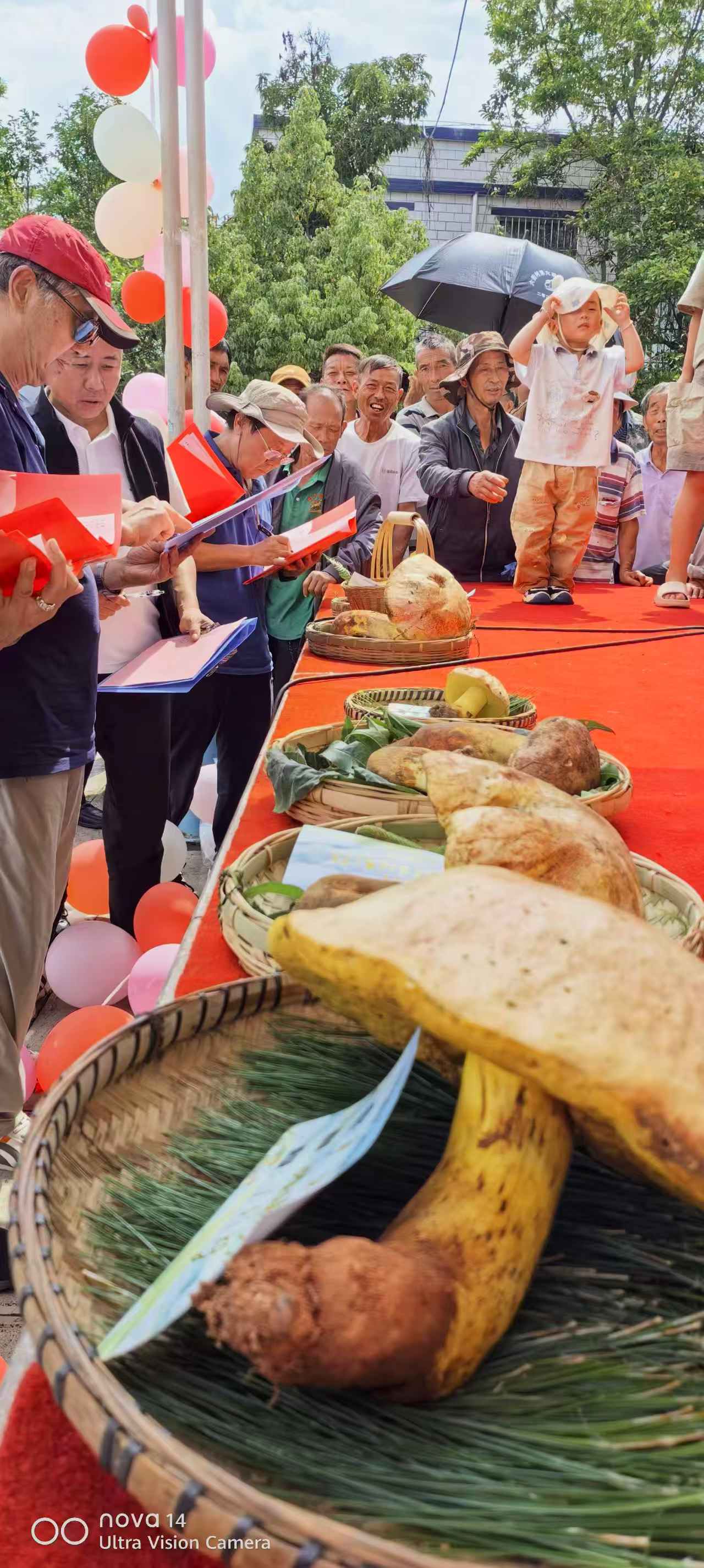微信图片_20260713141918.jpg