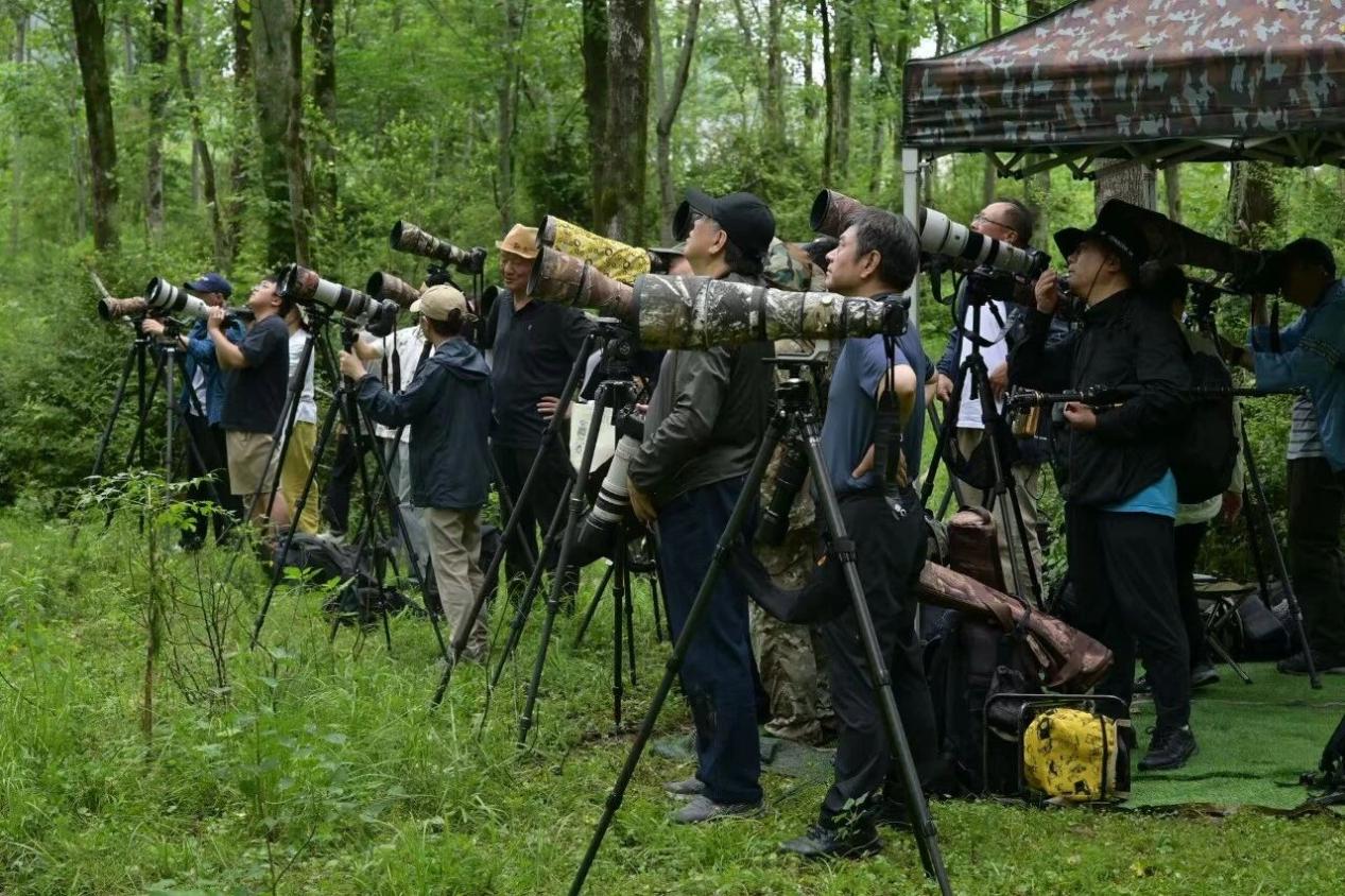 圖5片1.jpg