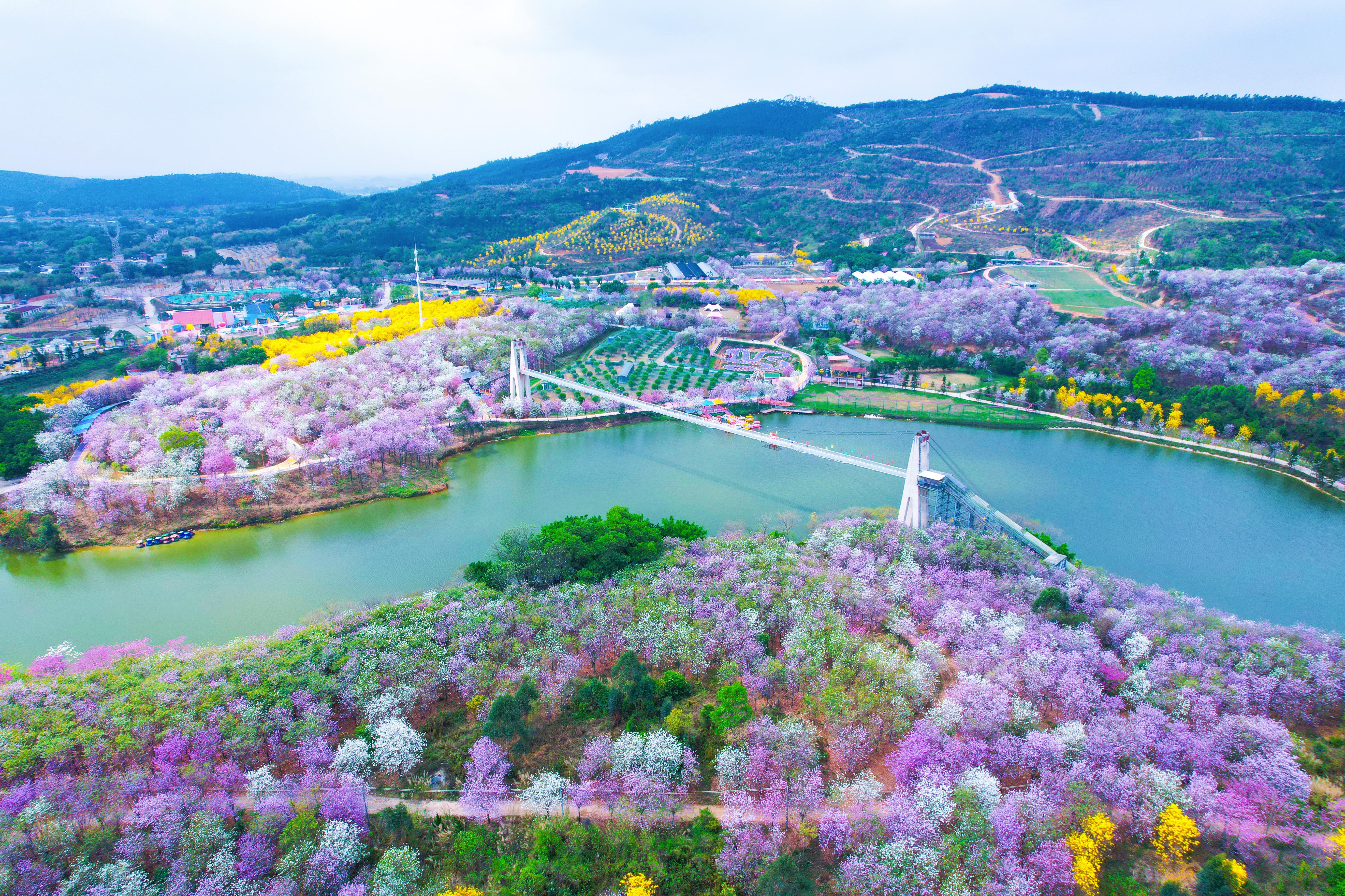 4 、 藍田紫林度假區.jpg