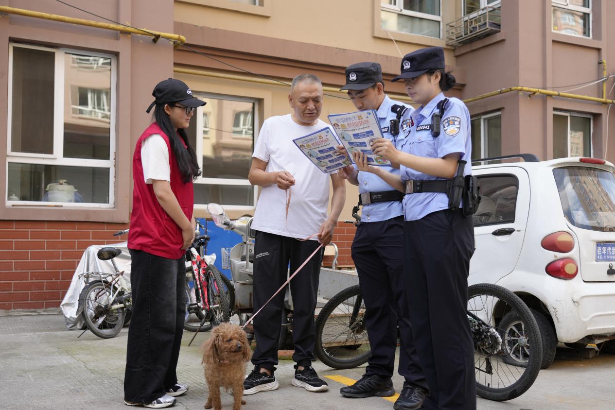 图片3.jpg