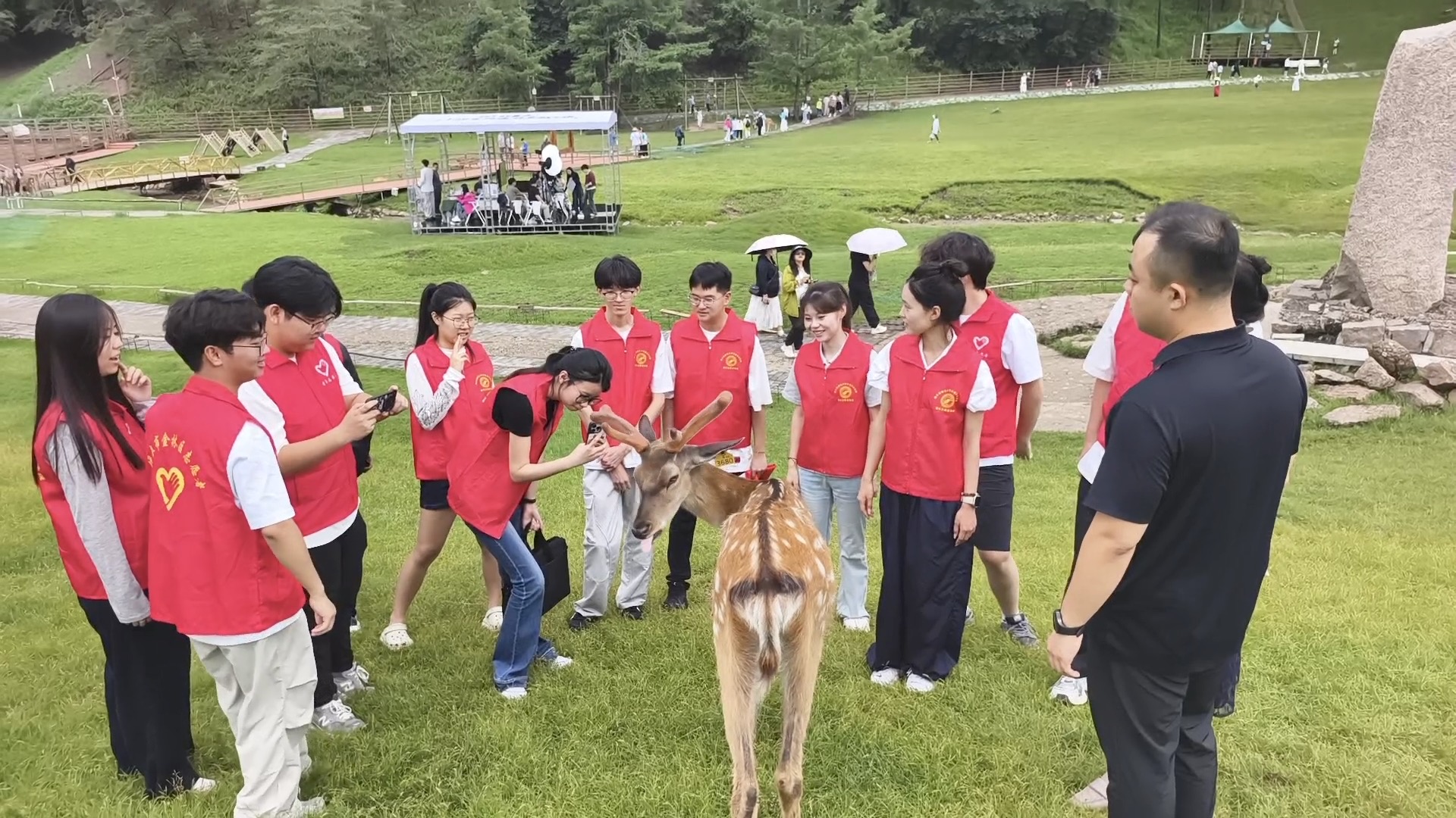 C10E1504-7BE5-45A1-8C38-7FE3FBC50FFC_L0_001.JPG