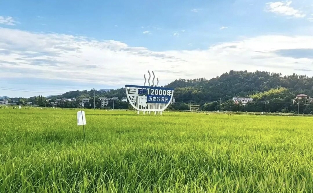 图5.jpg
