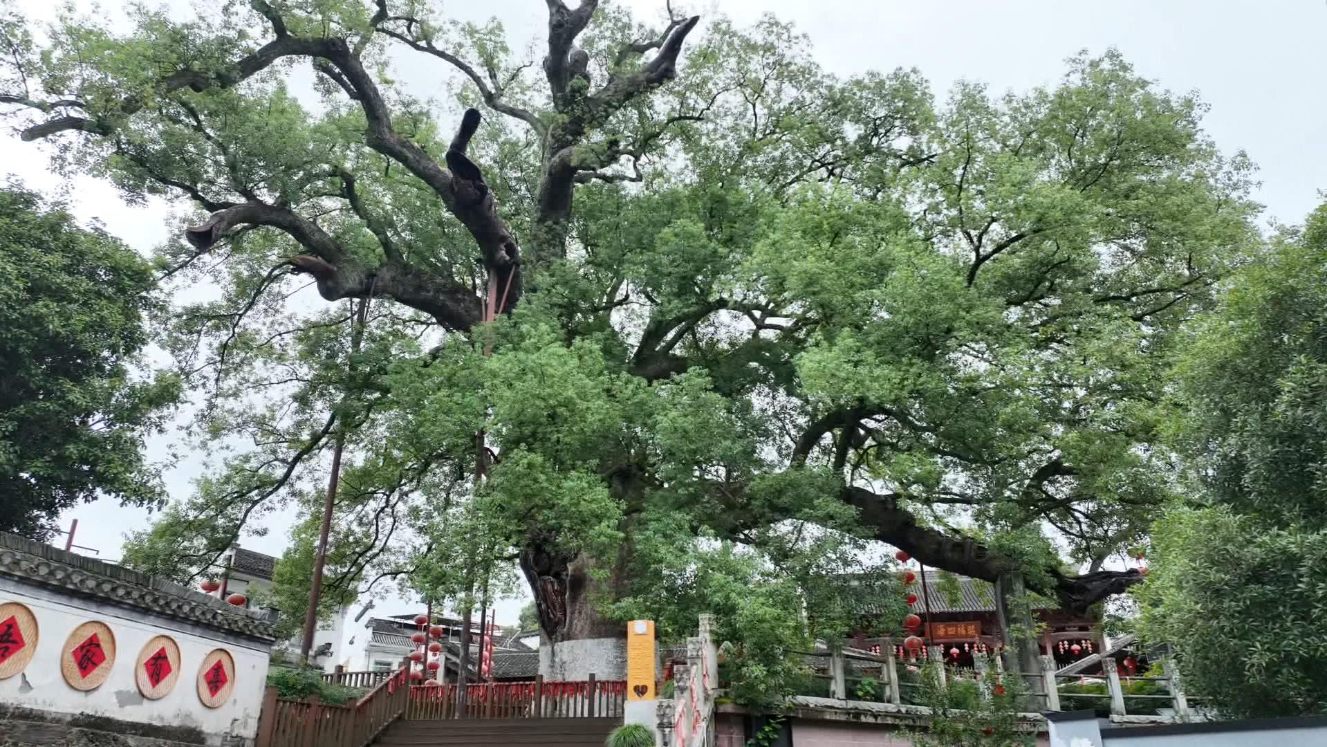 微信圖片_20260722152121_5758_117.jpg