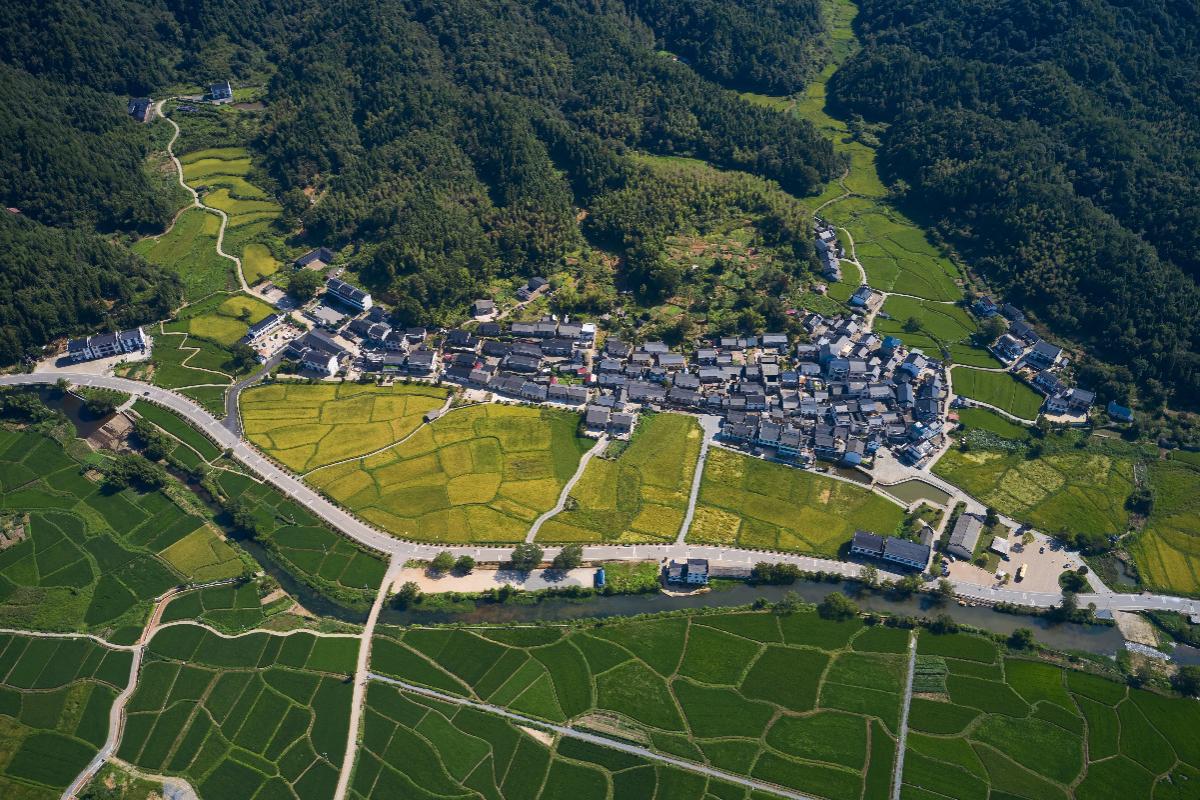 圖1：蛟潭窯柴燃料產區：禮芳村窯柴山林及古建築群.jpg