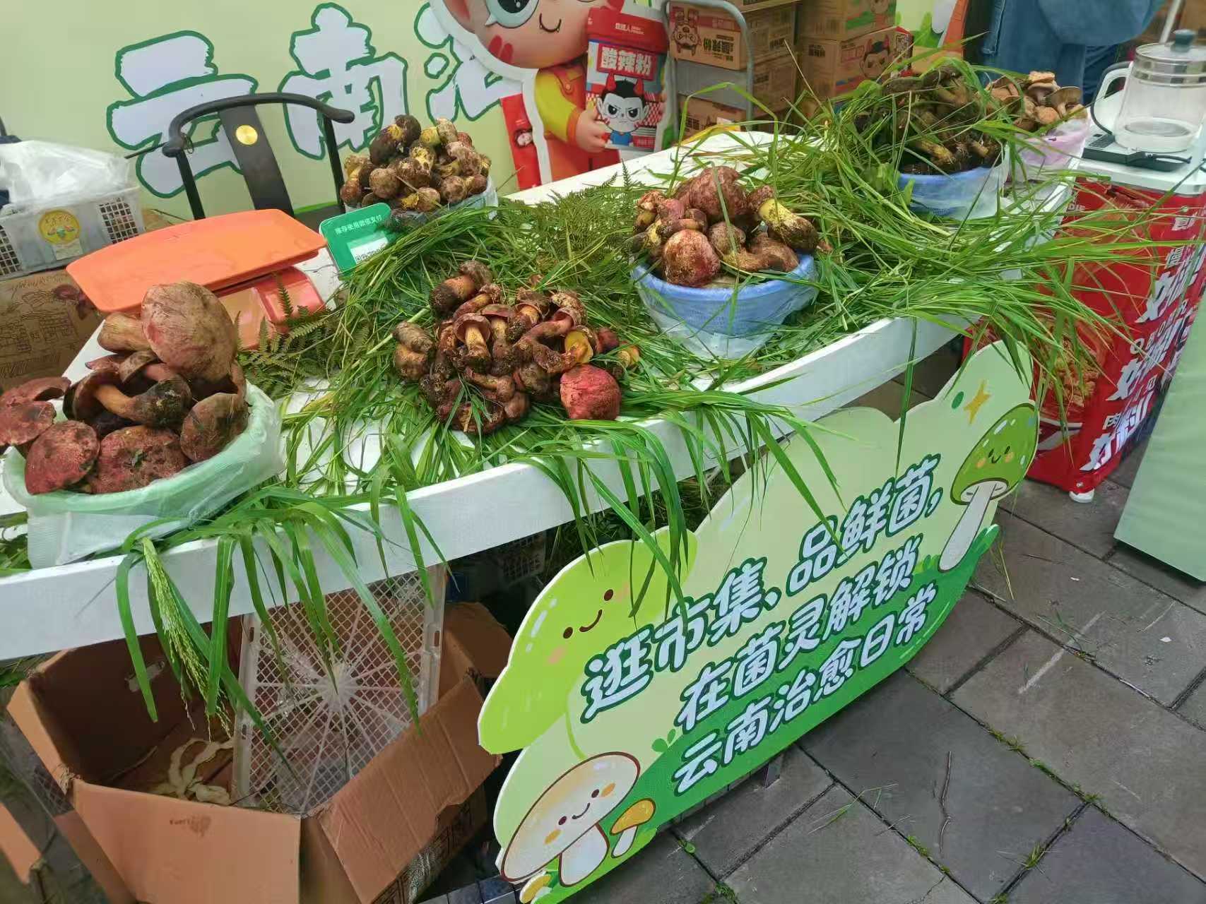 微信图片_20260726093904.jpg