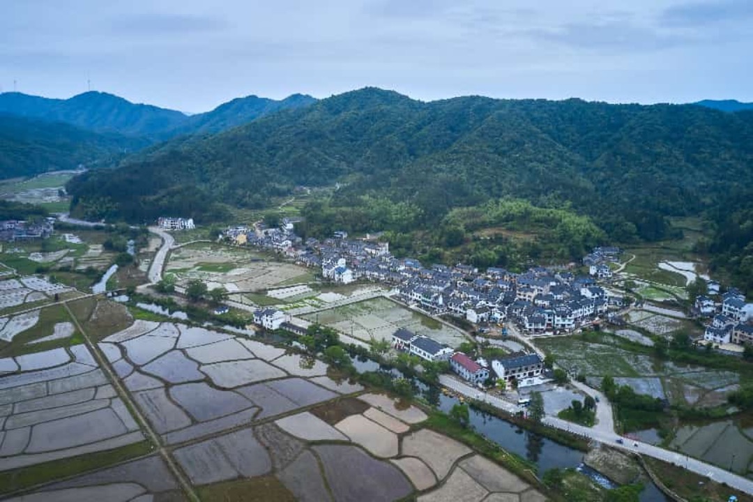 圖2蛟潭窯柴燃料產區俯瞰圖.jpg