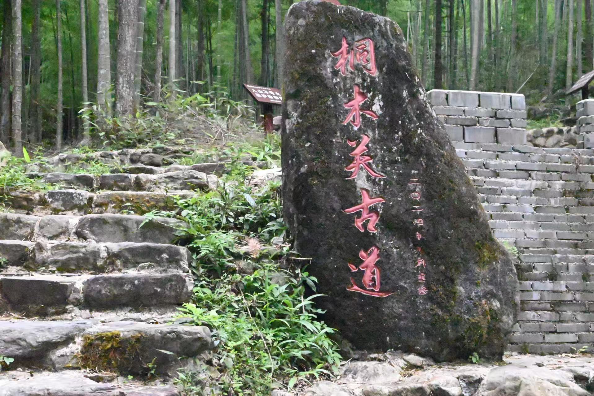 圖1:桐木關古道.jpg