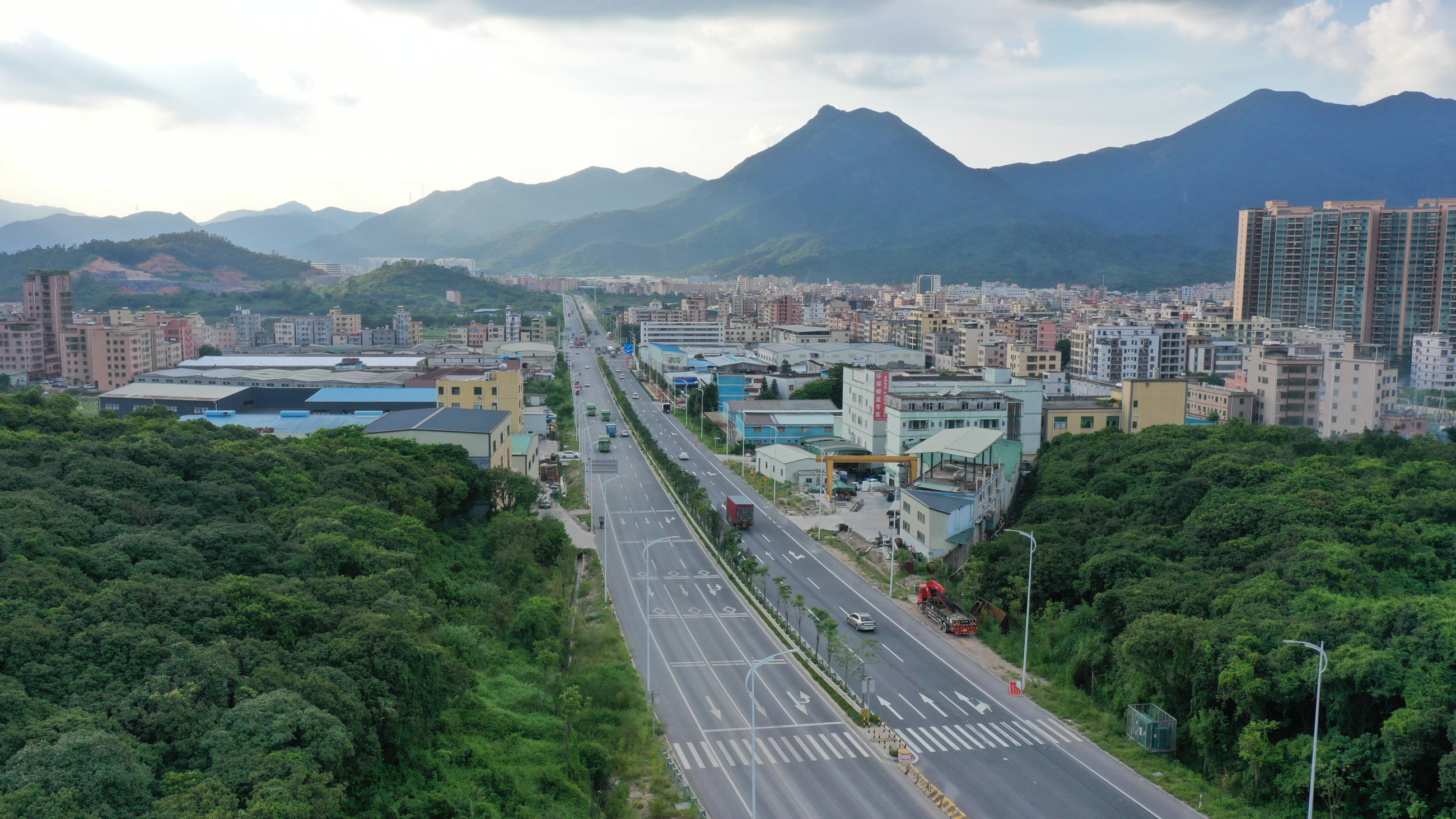 新清大道.jpg