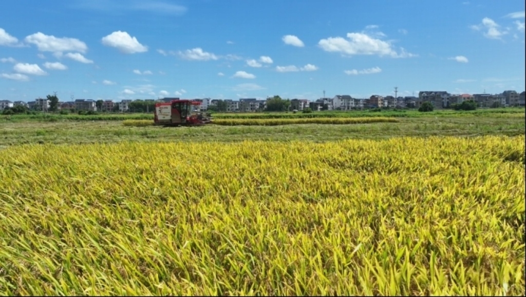图3：万年县湖云乡通过规范“三资”管理制度，激活土地流转效益。.jpg