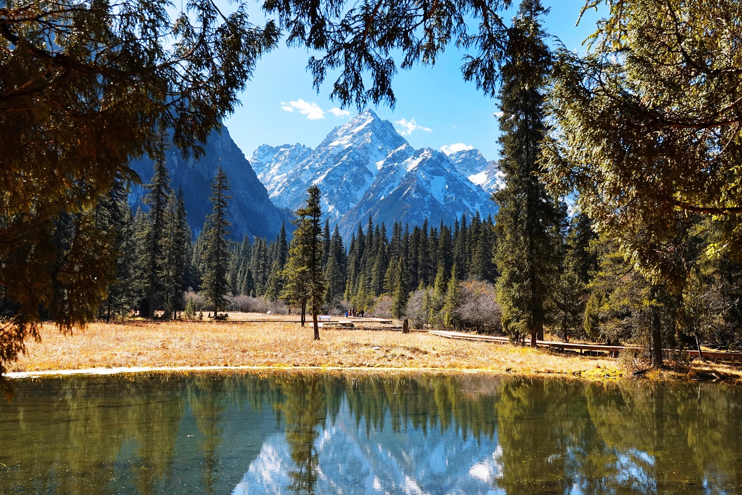 4.jpg
