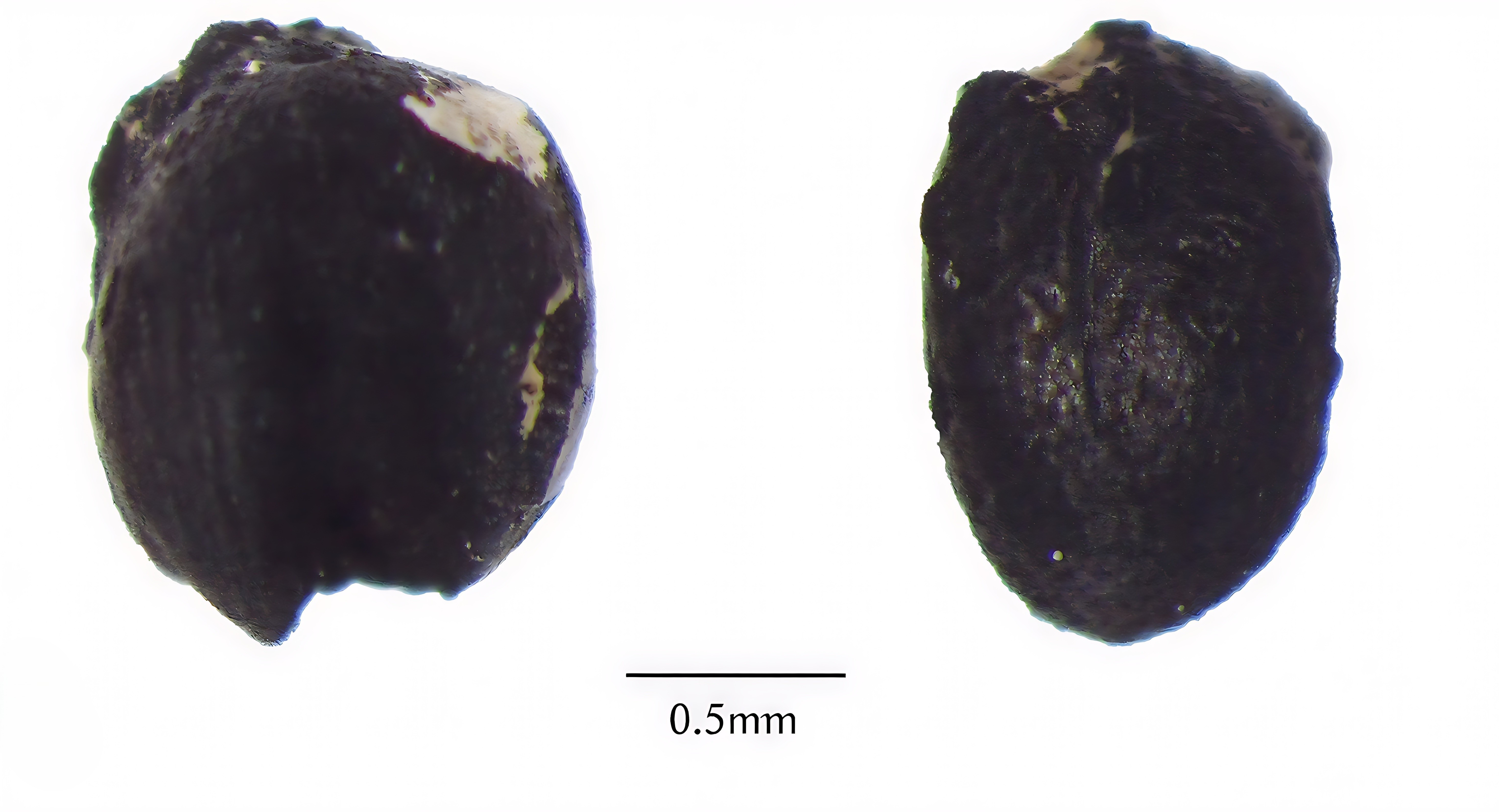 Photo 3.jpg