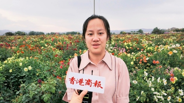 图二.jpg
