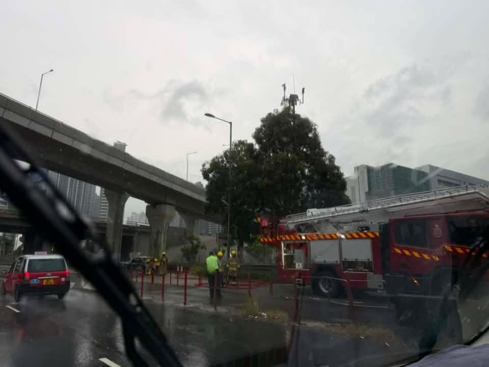 8986.jpg