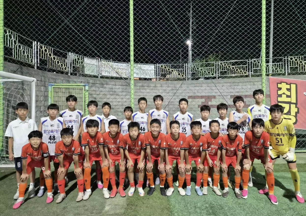 圖2:韓國HSFA.jpg