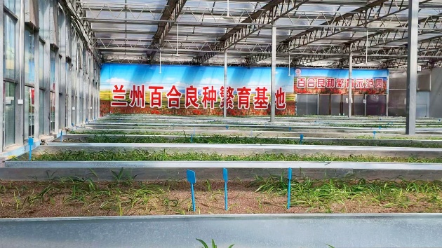 图三.jpg