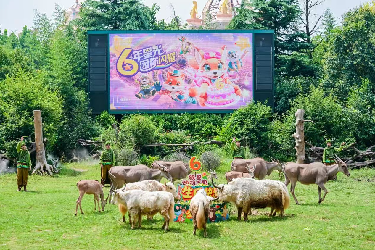 图二.jpg